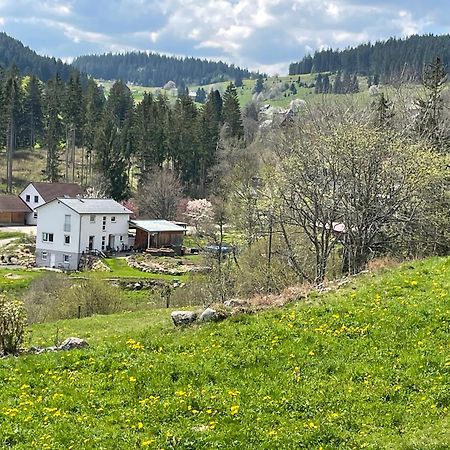 Ferienwohnung Am Hirtenpfad Lenzkirch Ngoại thất bức ảnh