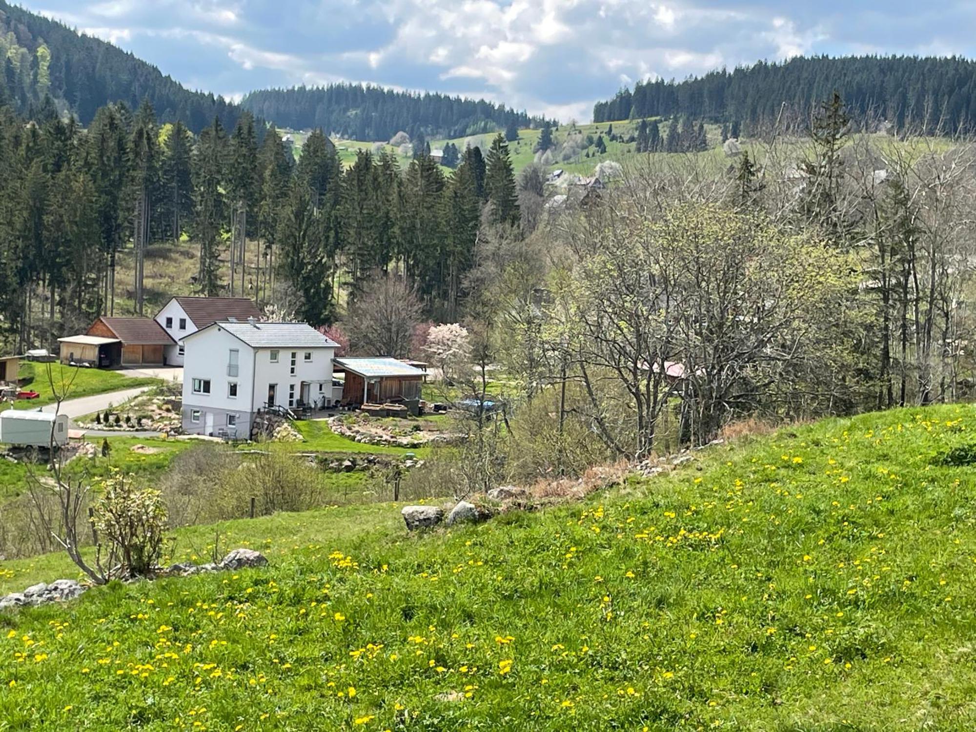 Ferienwohnung Am Hirtenpfad Lenzkirch Ngoại thất bức ảnh